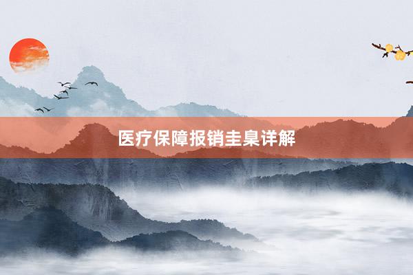 医疗保障报销圭臬详解
