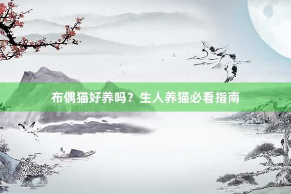 布偶猫好养吗？生人养猫必看指南