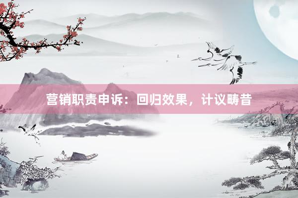 营销职责申诉:回归效果,计议畴昔